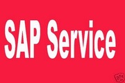Free SAP Material ECC6 Installations SAP Plug Play Hard Disk SAP certi