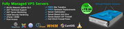 Cheap vps hosting | Linux vps hosting | Alpha reseller | Master resell