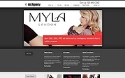 Professional Website Design 