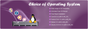 Quality and affordable windows VPS hosting and linux VPS hosting