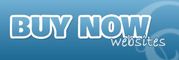 buy a website   