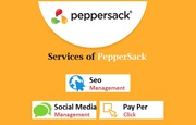 Top SEO Company UK