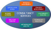 IT Information Systems Consultancy