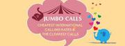 International Phone Call Service Providers
