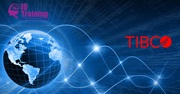  Get the Superior TIBCO training at affordable prices.