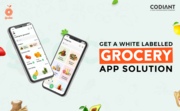 Grab  A Customize Online Grocery Delivery App 			
