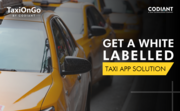 Launch Your Taxi Fleet Online In Minutes With TaxiOnGo  			