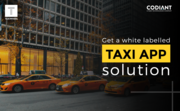 Transform your Business with Online Taxi Booking App 			