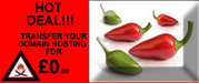 TRANSFER YOUR SITE FOR £0.00